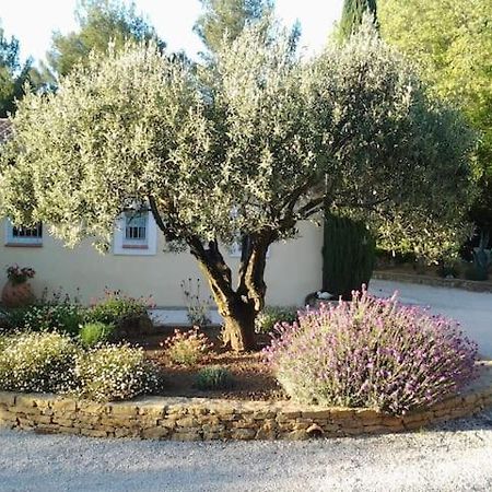 滨海萨纳里Maison Privee Au Calme Dans Mas Provencal别墅 外观 照片