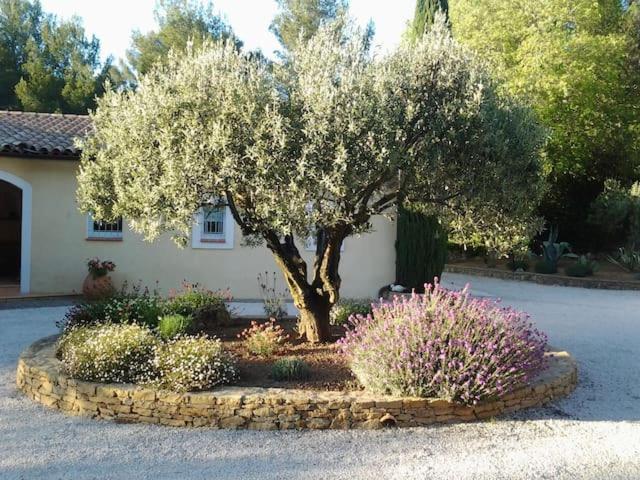 滨海萨纳里Maison Privee Au Calme Dans Mas Provencal别墅 外观 照片
