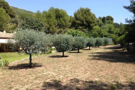 滨海萨纳里Maison Privee Au Calme Dans Mas Provencal别墅 外观 照片